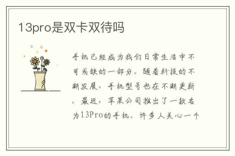 13pro是双卡双待吗(苹果13pro是双卡双待吗)